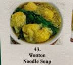 Best Wonton Noodle Soup in Miami, FL